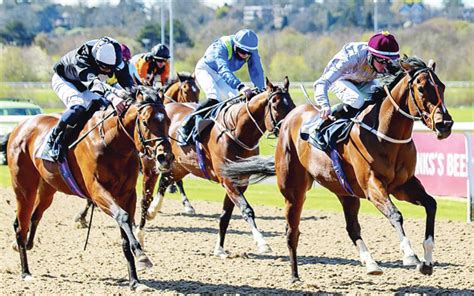 attheraces quick results|At The Races .